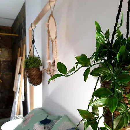 Casa Da Praça Casas Bem Haja * São Miguel de Acha