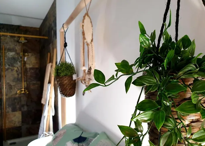 Casas Bem Haja Praca E Oliveira * São Miguel de Acha